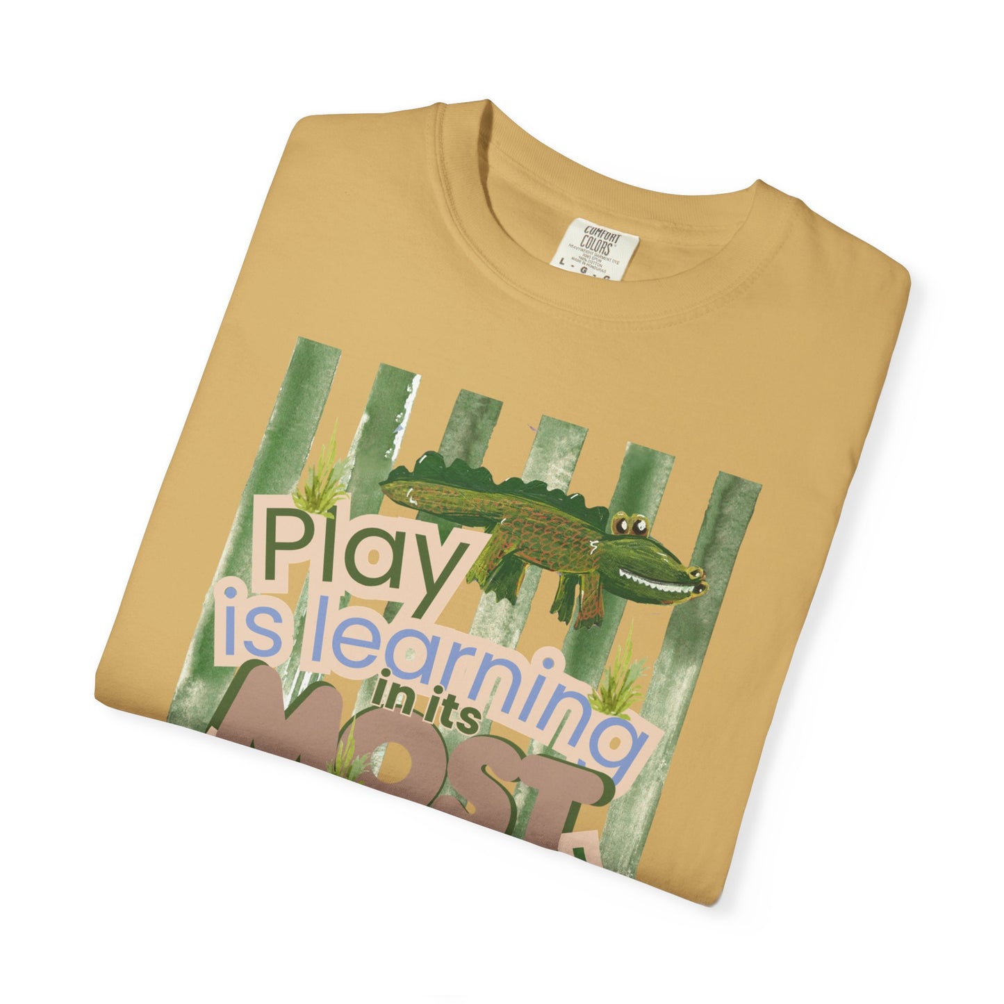 CUSTOM SHIRT FOR IVY LEAGUE ELC Play Is Learning T-Shirt — "Play is Learning the Most Natural Form" Preschool Teacher Tee