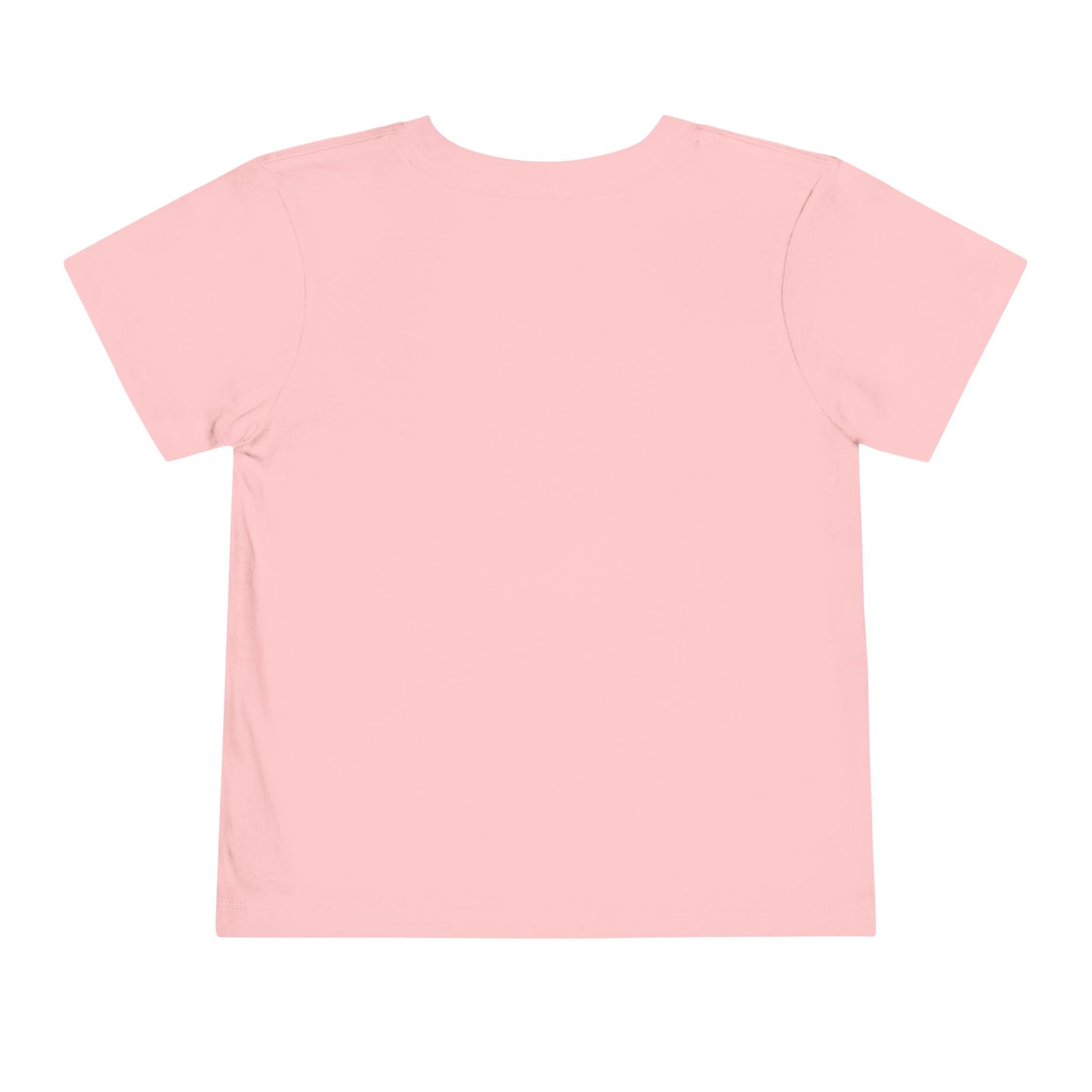Toddler Short Sleeve Florida Tee | Matching Tee